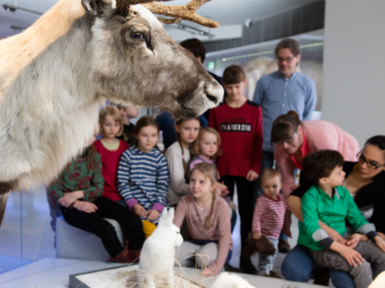 Das Foto zeigt eine Gruppe in einem Museum. Kinder und Erwachsene betrachten ein Tier.