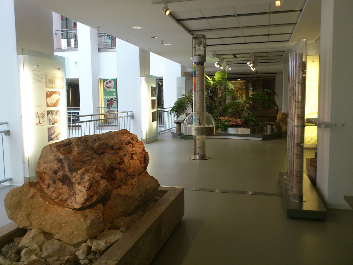 Sachsens Museen entdecken - Museum - Museum für Naturkunde Chemnitz